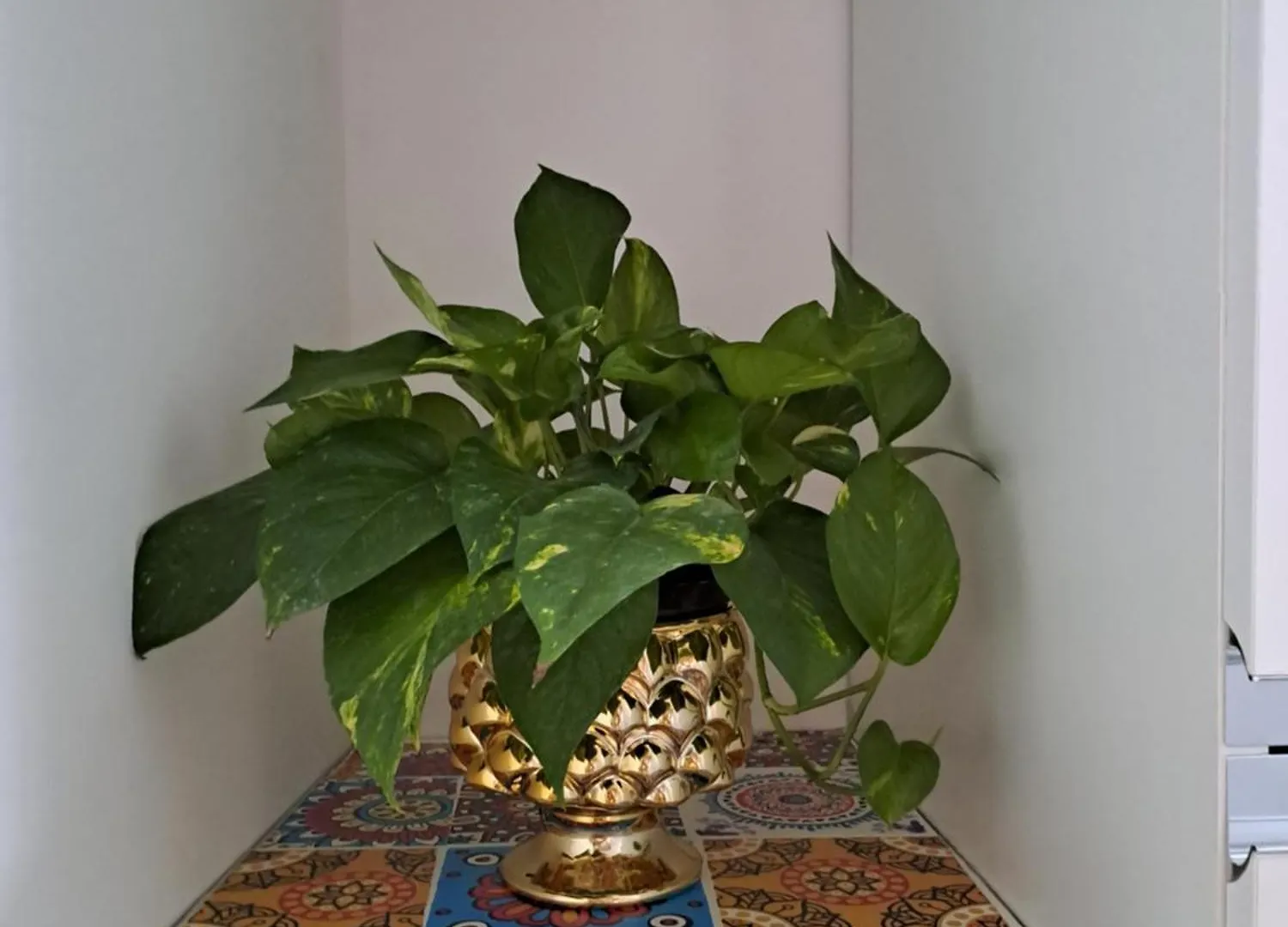 Apartament Re Federico II Katania Włochy